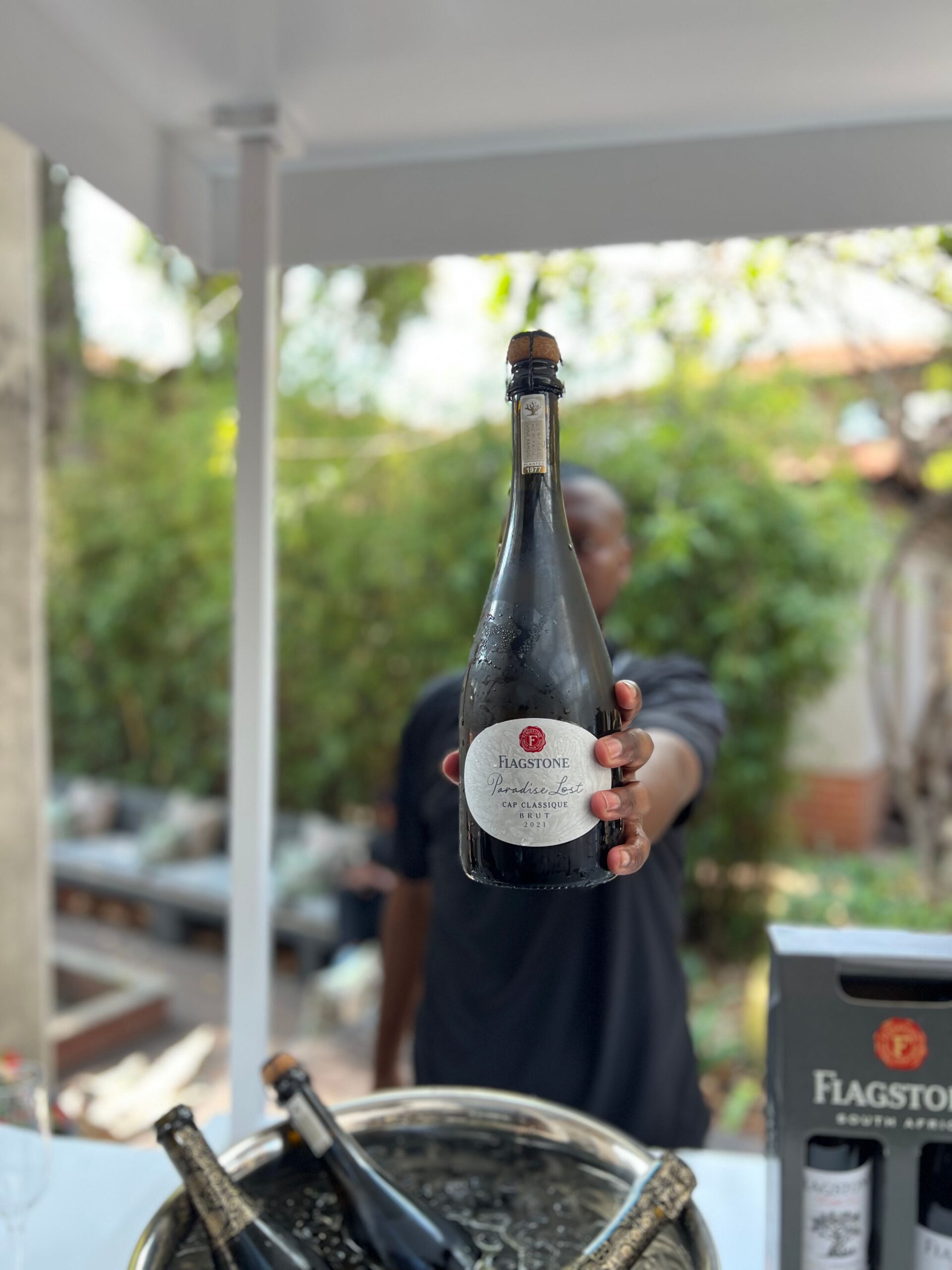 SIpPic (24)